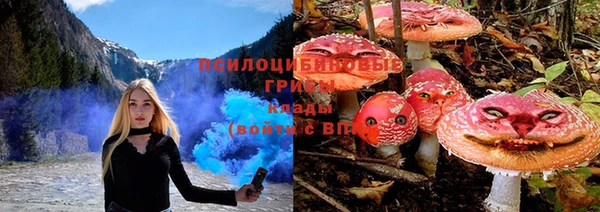 spice Алзамай