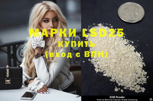 spice Алзамай